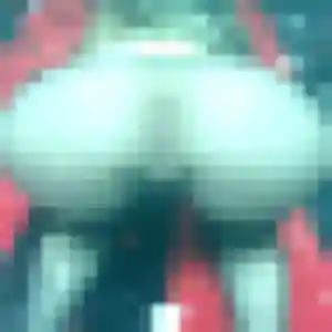 Photo de Agnes à Aigrefeuille-sur-Maine (27 ans) - rencontre adulte anonyme