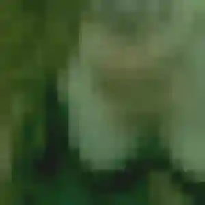 Louna, fille de 31 ans cherche rencontre adulte à Aizenay