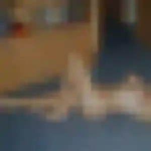 Helena, femme de 23 ans propose rencontre adulte à Bellevigne-les-Châteaux
