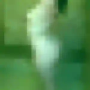 Découvre Salome, 43 ans à Bénodet gratuitement