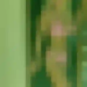 Photo de Diane à Bourgueil (27 ans) - rencontre adulte anonyme