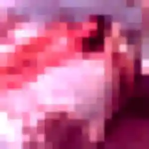 Photo de Anne à Briollay (37 ans) - rencontre adulte discret