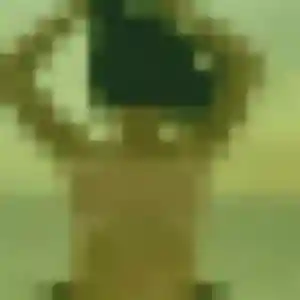 Photo de Dana à Camors (40 ans) - rencontre adulte anonyme