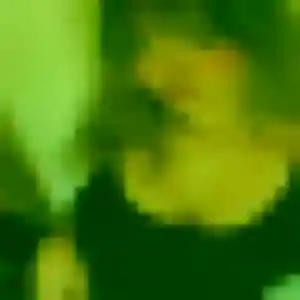 Isaure (36 ans) à Carquefou attend un rencontre adulte rapidement