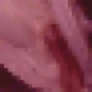 Sexy Rym, 28 ans à Chécy - voir sa photo