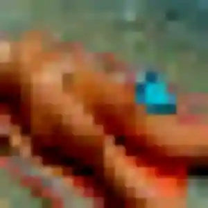 Isabella, 21 ans, en ligne à Cordemais pour un rencontre adulte