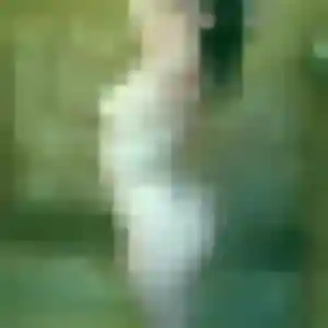 Sexy Helene, 38 ans à Guignen - la contacter