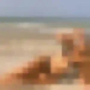 Photo de Leontine à Jargeau (43 ans) - rencontre adulte gratuit