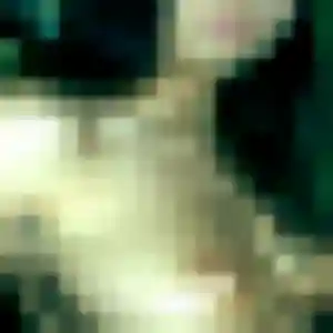 Photo exclusive de Tania, 31 ans à La Chaussée-Saint-Victor - rencontre coquine