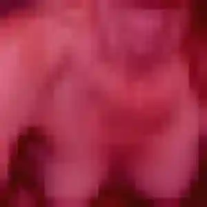 Eleonore, 23 ans, cherche un rencontre adulte à La Membrolle-sur-Choisille
