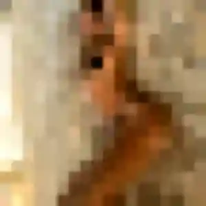 Oumaima, 36 ans, en ligne à Le Landreau pour une rencontre coquine