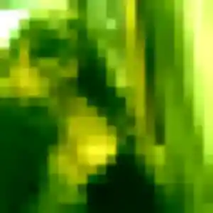 Profil de Olivia à Les Lucs-sur-Boulogne (23 ans) - rencontre adulte anonyme