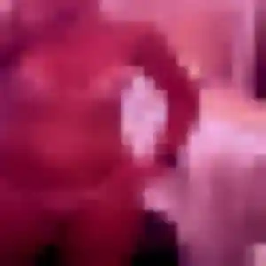 Stephanie (35 ans) à Les Lucs-sur-Boulogne cherche une rencontre aujourd'hui