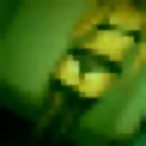 Belle Delice, 28 ans à Milizac-Guipronvel - la contacter