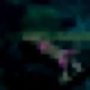 Xaviere, 30 ans, cherche un rencontre adulte à Milizac-Guipronvel