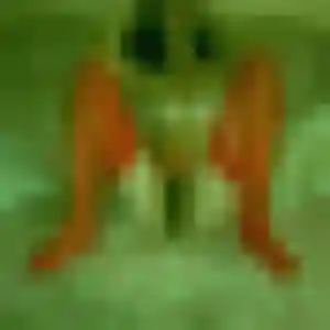 Christine de Missillac, 38 ans - rencontre adulte sans prise de tête