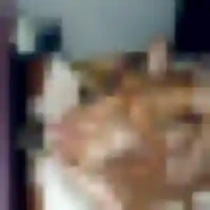 Marilou (43 ans) à Montbazon cherche une rencontre rapidement