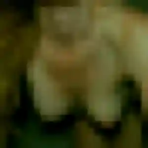 Wahiba, 21 ans, cherche un rencontre adulte à Pleslin-Trigavou
