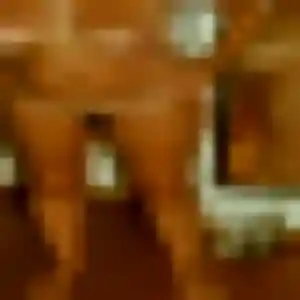 rencontre adulte à Plessé : photo de Lucienne, 43 ans - inscription gratuite