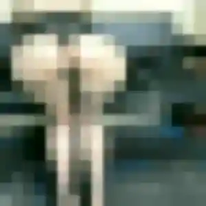 Quitterie, 32 ans, cherche un rencontre adulte à Plouhinec