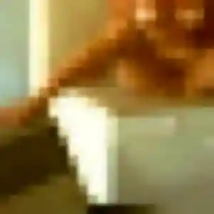 Photo sexy de Siham, 45 ans à Plouigneau - rencontre coquine