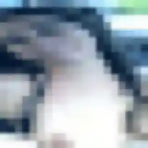 Photo privée de Alix, 22 ans à Plouvien - rencontre sans lendemain