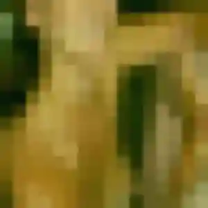 Lisa, 44 ans, dispo pour rencontre adulte à Pontivy
