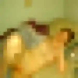 Jolie Irene, 30 ans à Quiberon - la contacter