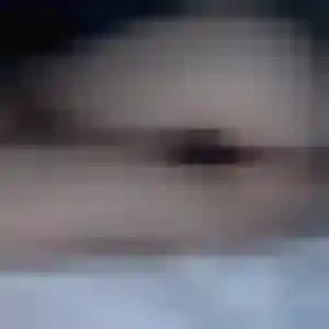 rencontre adulte à Saint-Évarzec : photo de Jade, 32 ans - sans engagement