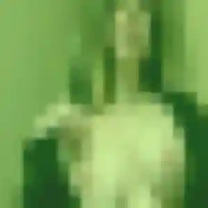 Photo exclusive de Severine, 44 ans à Saint-Évarzec - rencontre coquine