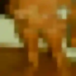 Profil de Laurence à Saint-Jean-de-la-Ruelle (32 ans) - rencontre adulte gratuit