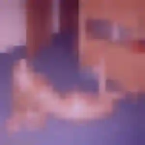 Estee, 43 ans, connectée à Saint-Nolff pour un rencontre adulte