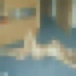 Noura, 37 ans, disponible à Saint-Pierre-des-Corps pour une rencontre coquine