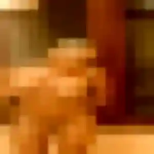 Profil de Emeraude à Saint-Yvi (27 ans) - rencontre adulte gratuit