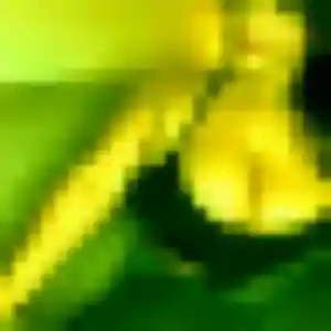 Bertille (24 ans) à Thorigné-Fouillard cherche un rencontre adulte maintenant