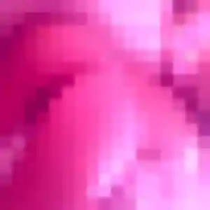 Laure, femme de 39 ans cherche rencontre adulte à Vair-sur-Loire