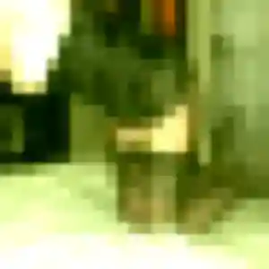 Urielle, 41 ans, dispo pour rencontre adulte à Vendôme